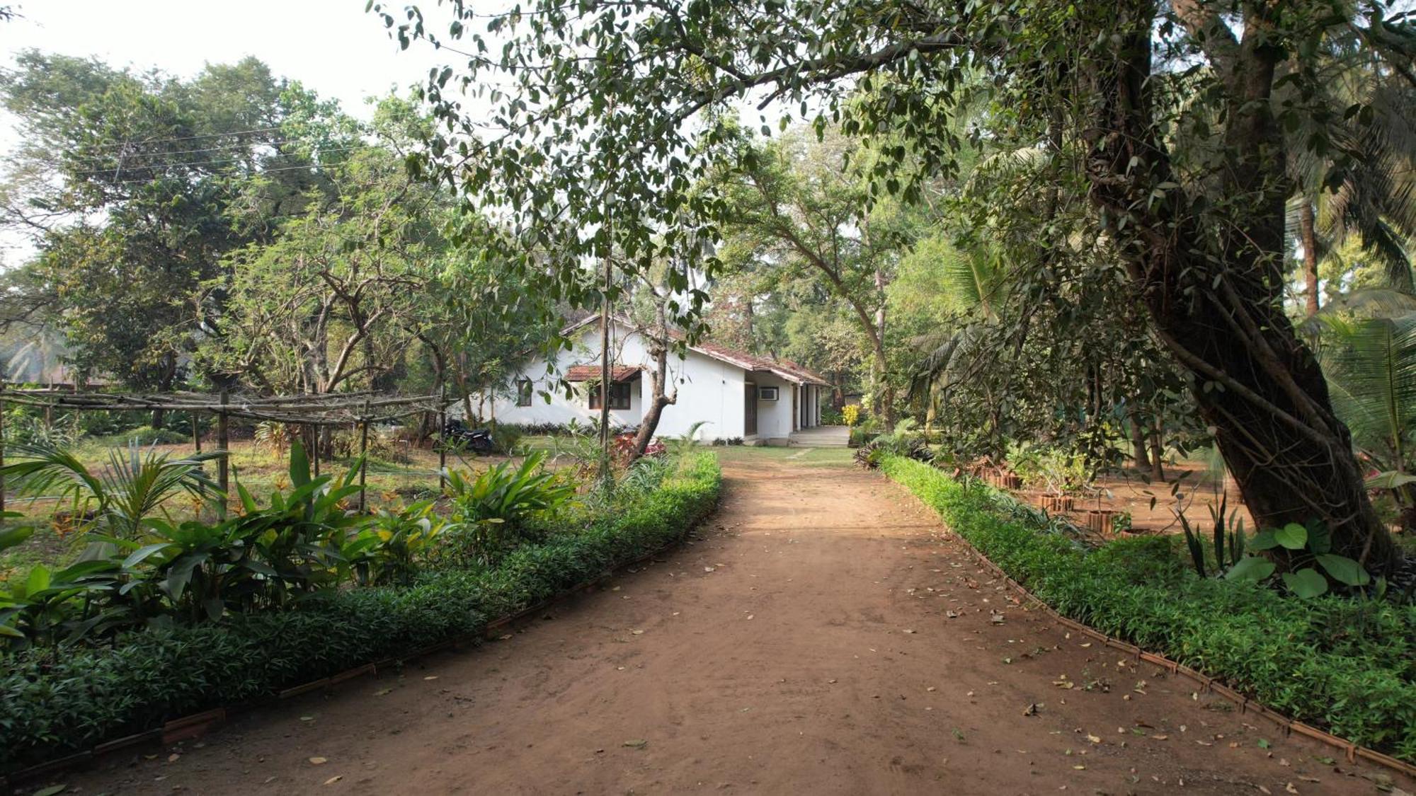 Banyan House - Luxurious 4 Bedroom Villa On One Acre, Near The Beach Nagaon  Eksteriør bilde