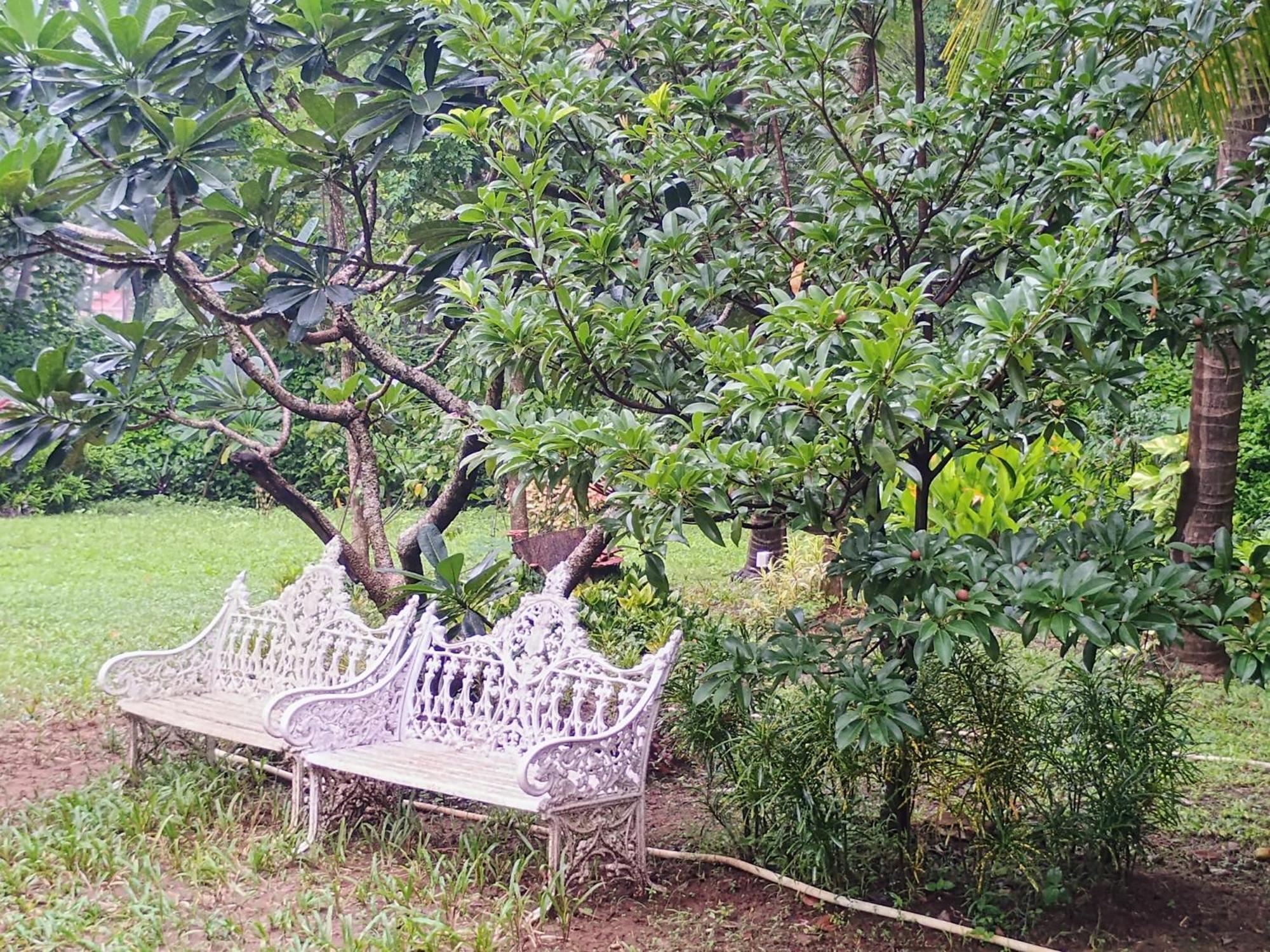 Banyan House - Luxurious 4 Bedroom Villa On One Acre, Near The Beach Nagaon  Eksteriør bilde